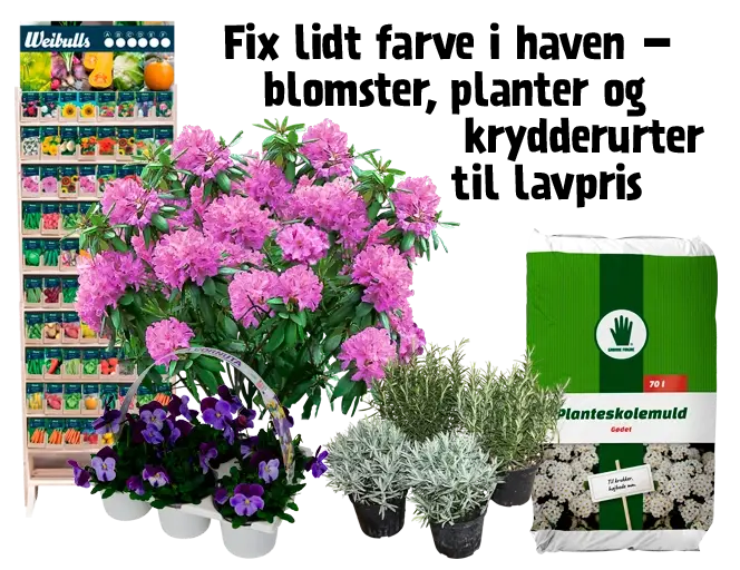 Planter, frø og jord